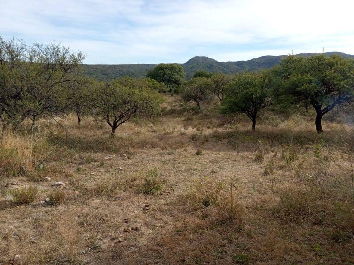 Foto de Lote en venta en San Lorenzo, imagen 1