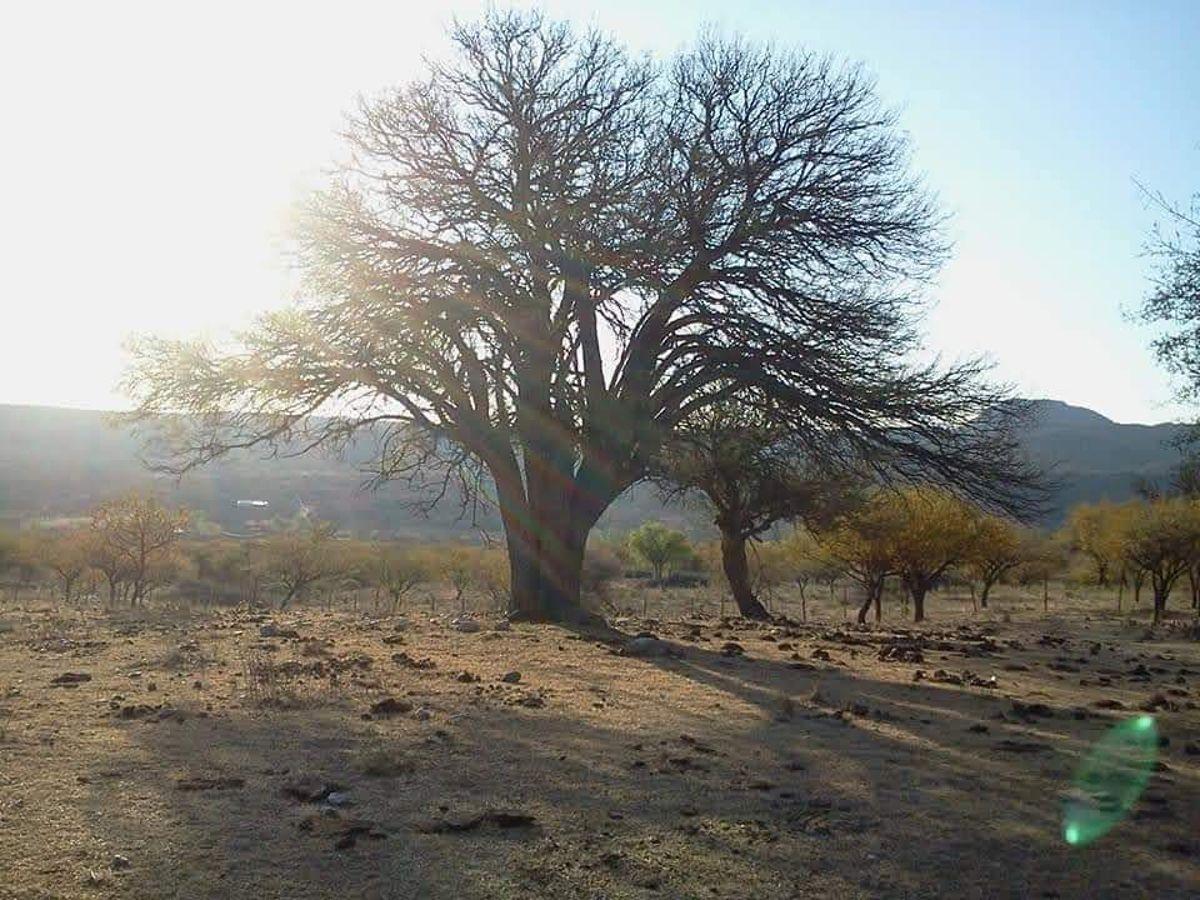 Foto de Lote en venta en San Lorenzo, imagen 4