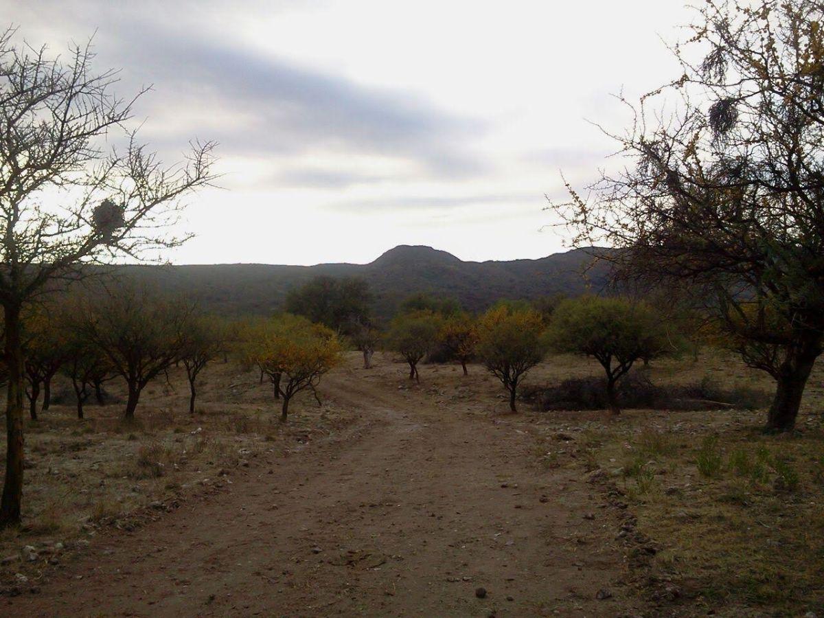 Foto de Lote en venta en San Lorenzo, imagen 2