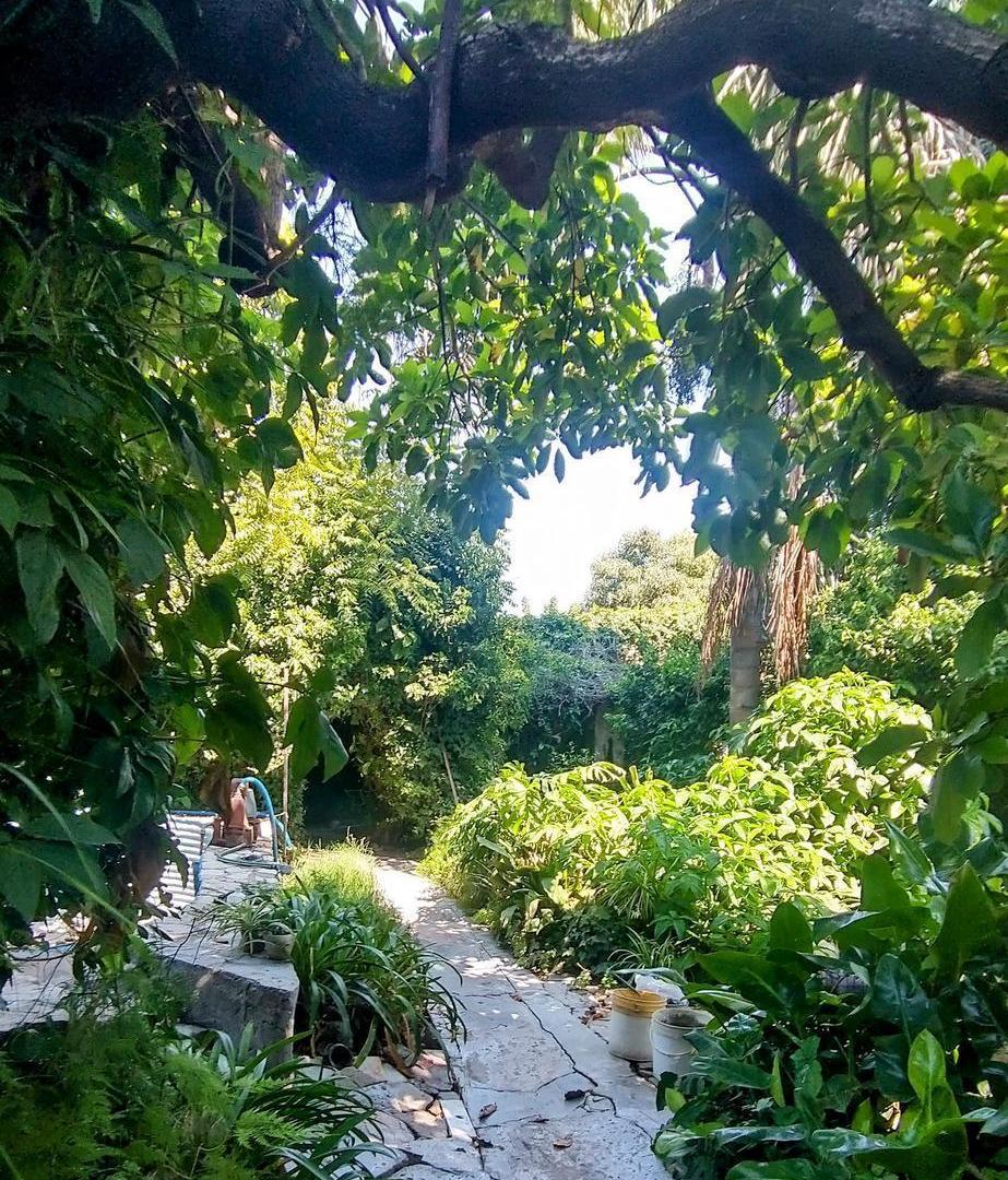 Foto de Casa en Villa Club Hurlingham, a reciclar, imagen 3