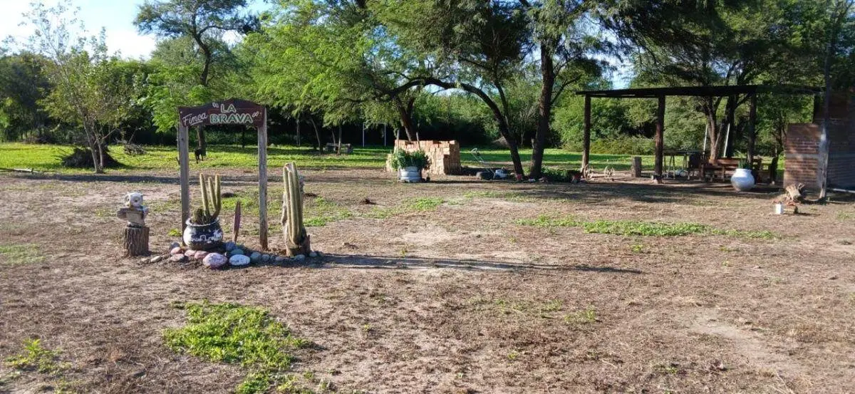 FINCA LA BRAVA 4