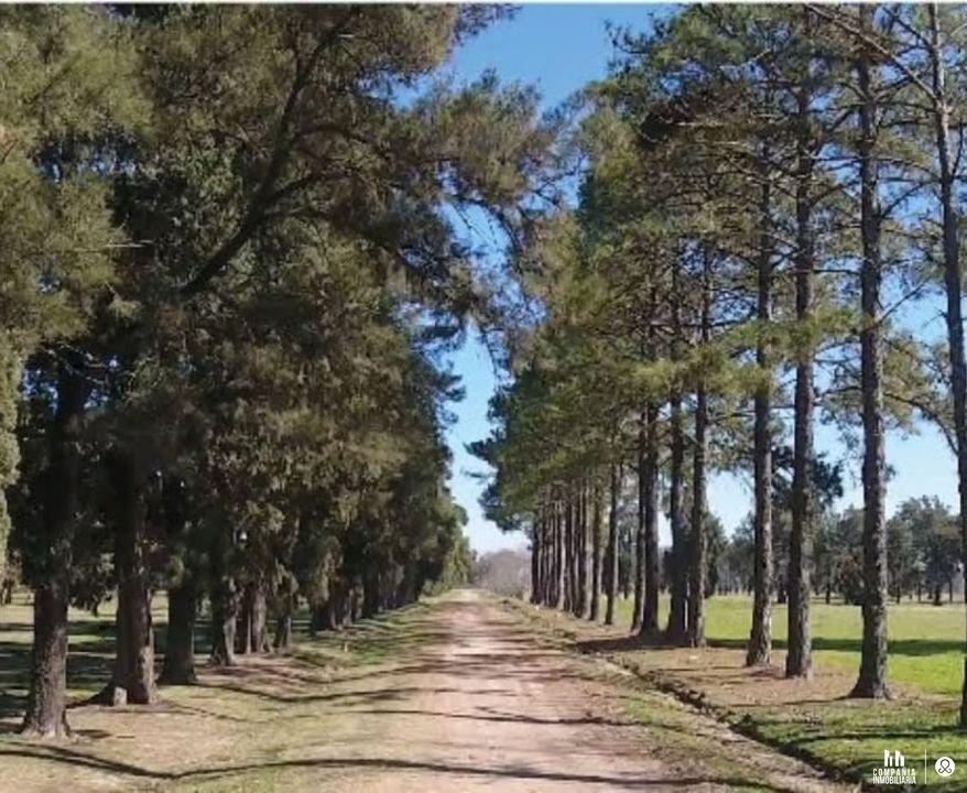 Foto de Lote en country “Los Molinos“, imagen 3