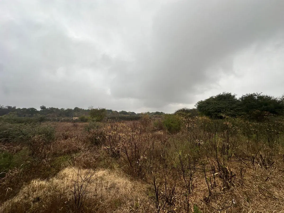 Venta Terreno 3 Has Coronel Olmedo 4