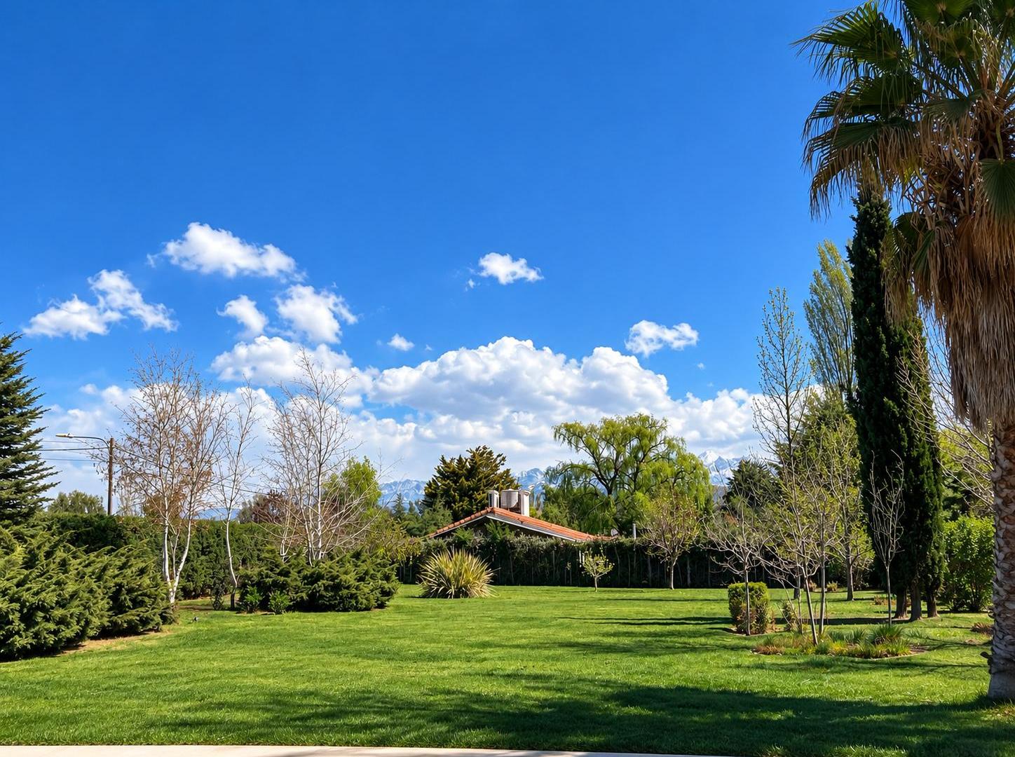 Foto de Venta lote en Vistalba Luján de Cuyo, imagen 2