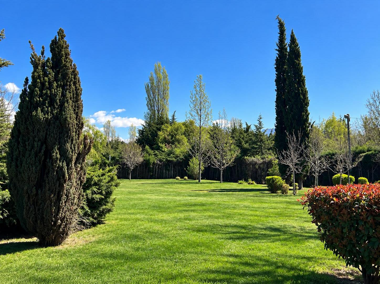 Foto de Venta lote en Vistalba Luján de Cuyo, imagen 1