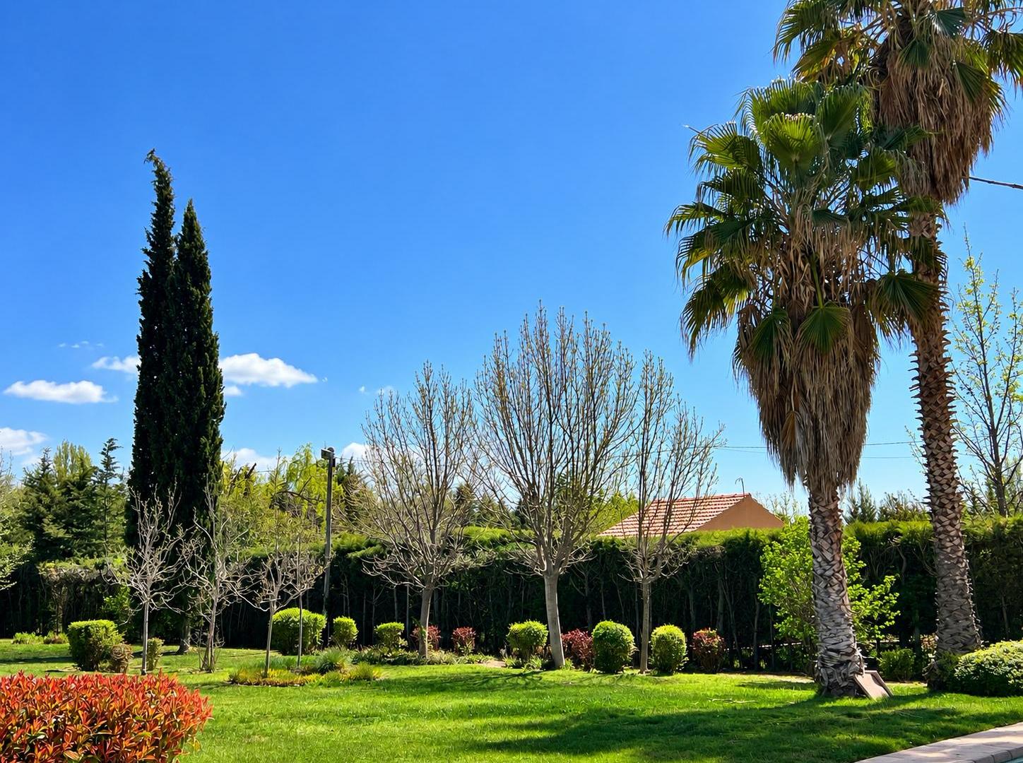 Foto de Venta lote en Vistalba Luján de Cuyo, imagen 5