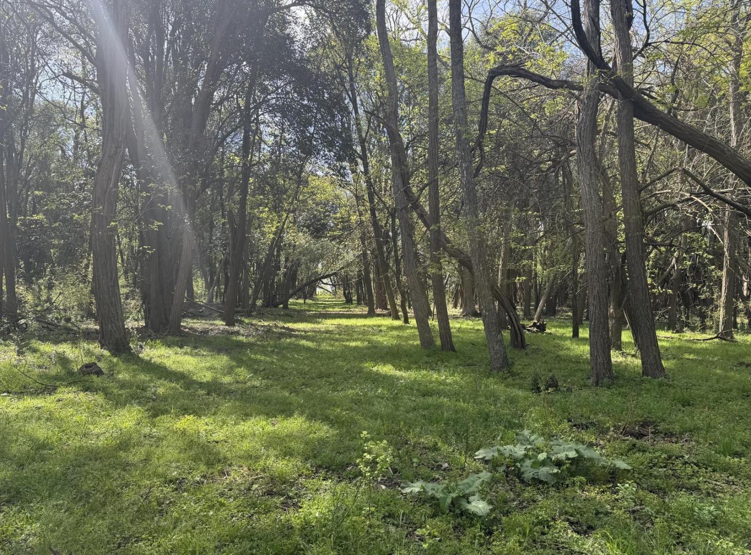 Foto de Venta campo 160ha Chascomus, imagen 4