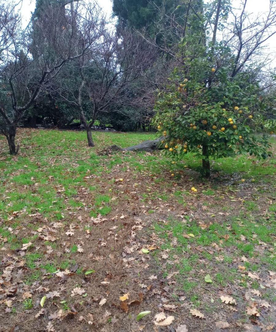 Foto de Casa en venta en Pilar Fatima 600 m2 de terreno, imagen 5