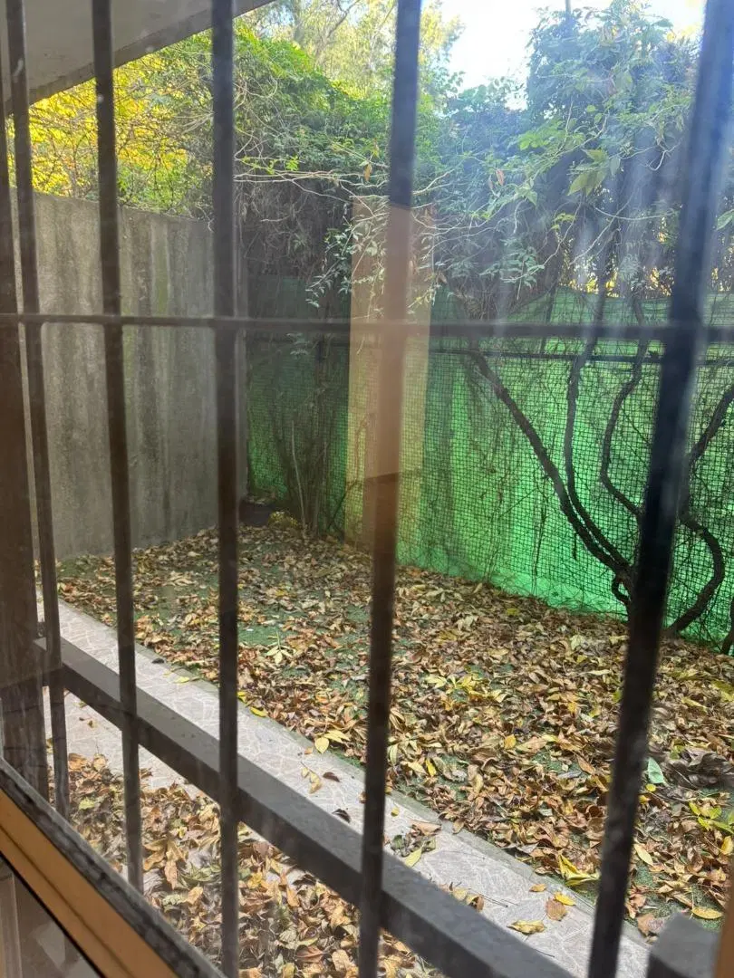Departamento en alquiler de 2 ambientes con jardin km 50 5