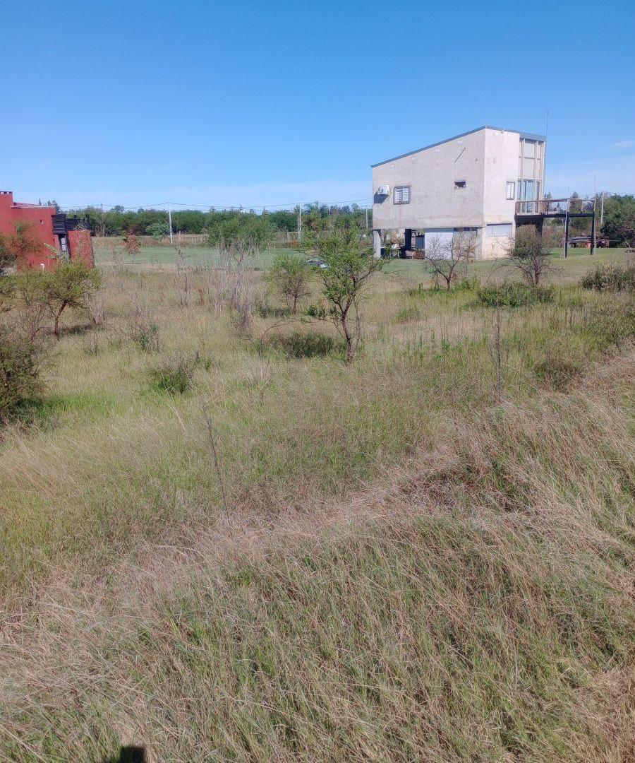 Foto de LOTE EN FIDEICOMISO LAGOS DEL LEYES, imagen 3