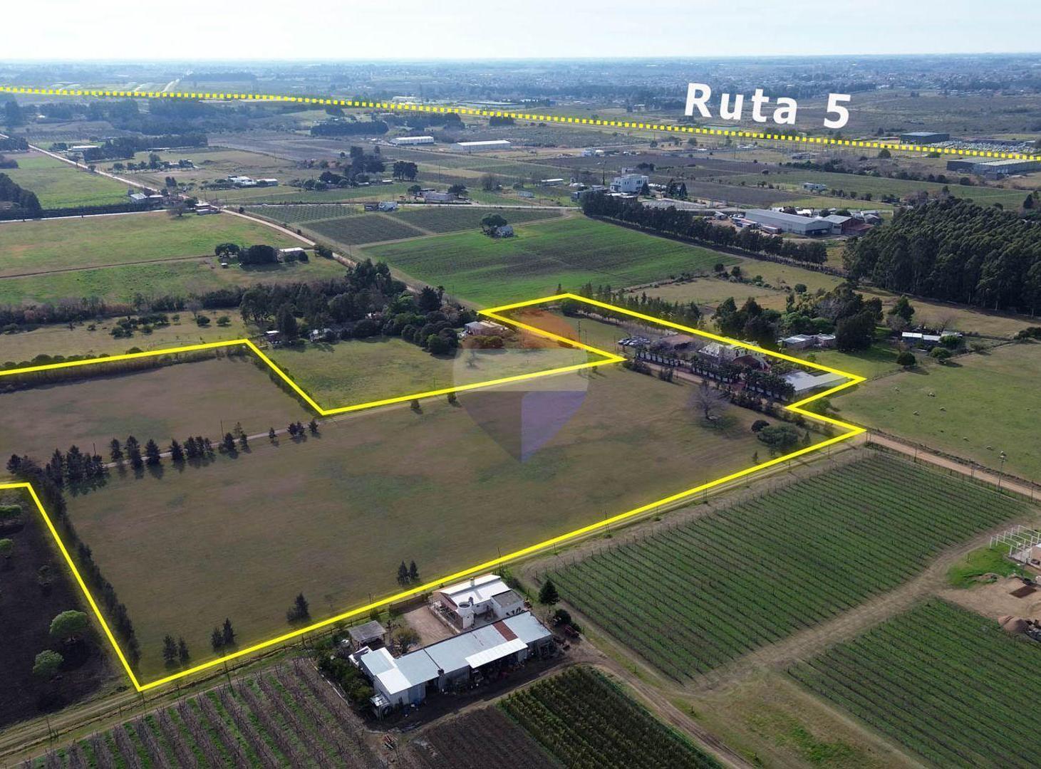Foto de VENTA CAMPO+CHACRA 4.5 Ha. LAS PIEDRAS CANELONES, imagen 5