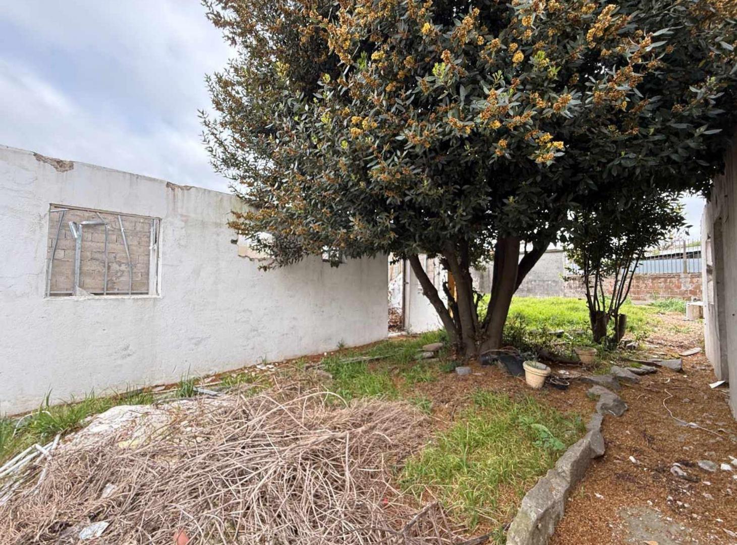Foto de VENTA TERRENO UNIÓN GRAN OPORTUNIDAD DE INVERSIÓN, imagen 2