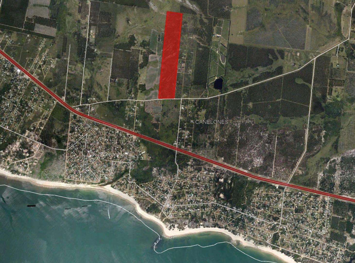 Foto de Venta Campo 23,2hás con frente a Ruta 103 Araminda, imagen 2
