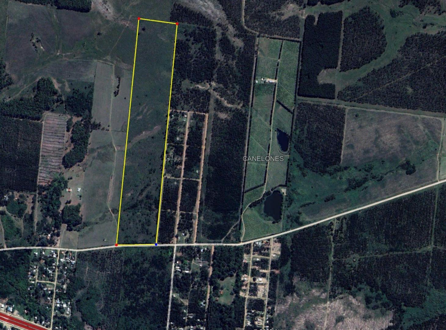 Foto de Venta Campo 23,2hás con frente a Ruta 103 Araminda, imagen 1