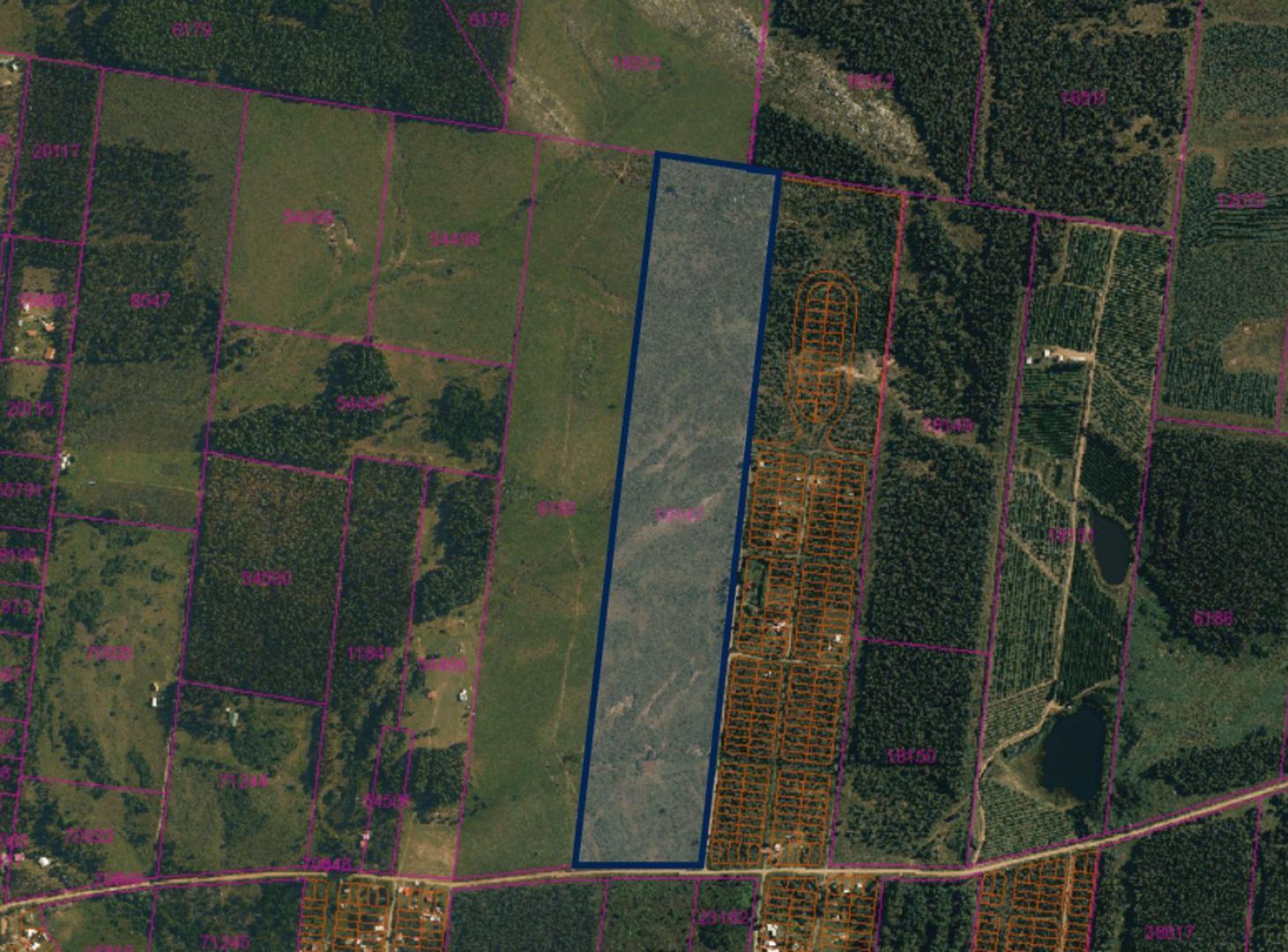Foto de Venta Campo 23,2hás con frente a Ruta 103 Araminda, imagen 3