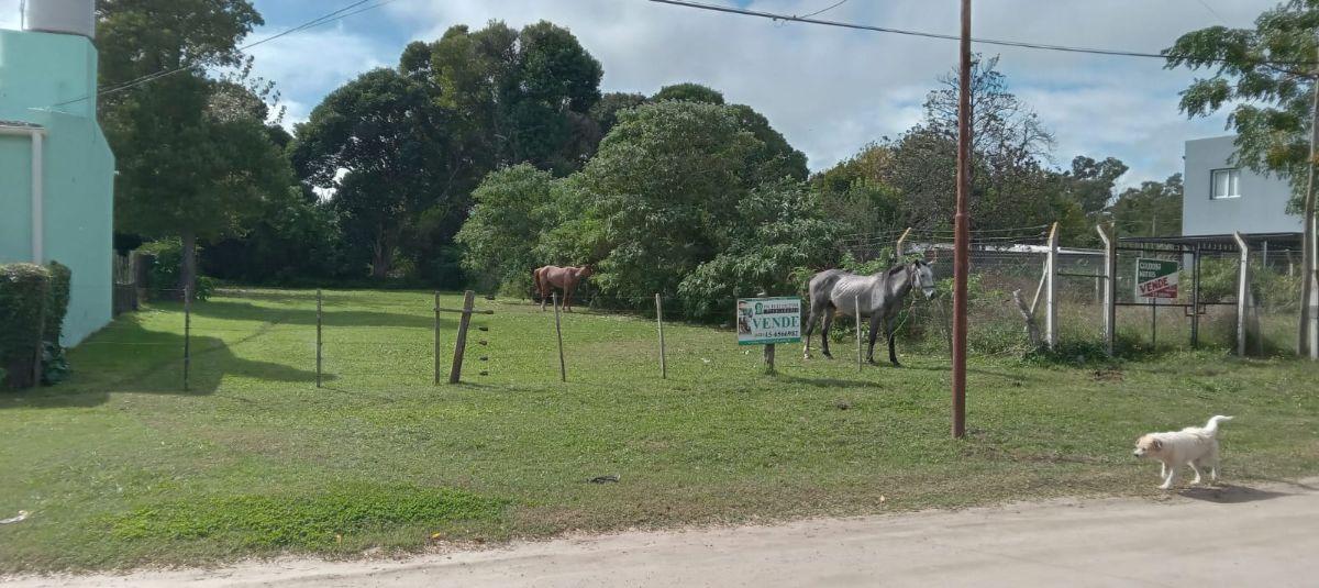 Foto de Terreno de 675 m2 en venta en Verónica calle 20 entre 33 y 35, imagen 5
