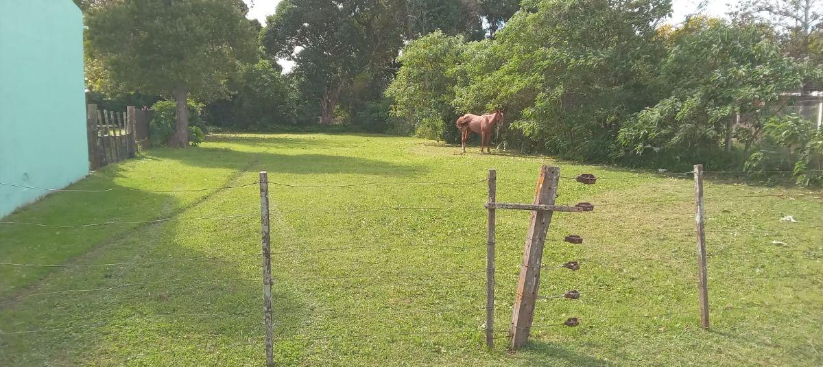 Foto de Terreno de 675 m2 en venta en Verónica calle 20 entre 33 y 35, imagen 3
