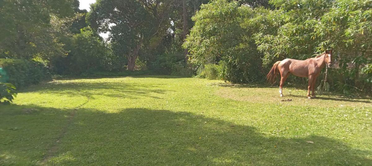Foto de Terreno de 675 m2 en venta en Verónica calle 20 entre 33 y 35, imagen 1