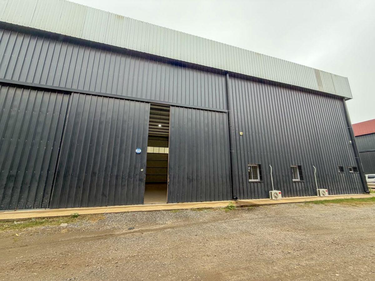 Foto de Bodega-Galpon de 600 m2 en Alquiler en Polo 52, imagen 5