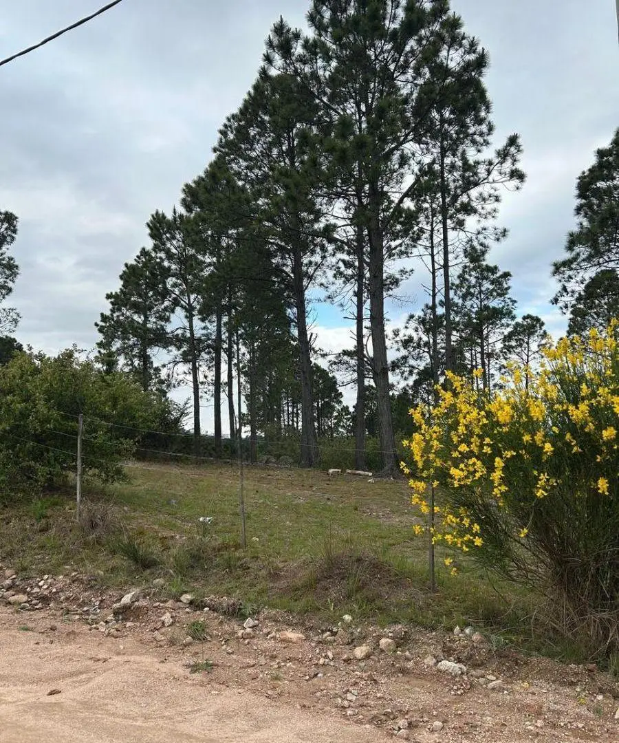 Lote en VENTA 1