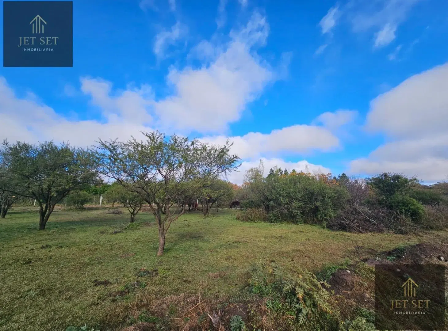 Terreno VENTA LA ALFONSINA 3