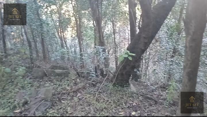 Foto de Venta Lote en Salsipuedes-Villa Silvina, con SERVICIOS, imagen 5