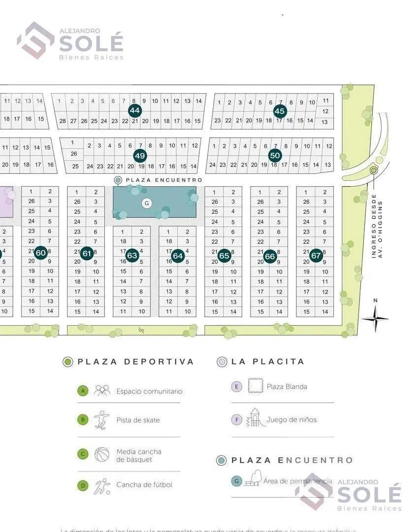 Plano 4