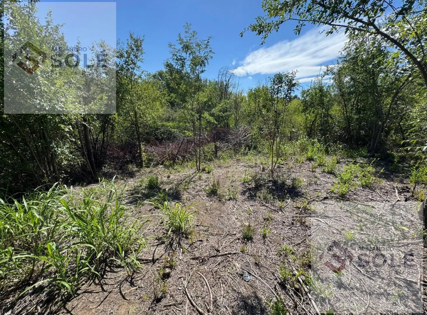 Terrenos  En El  ¨Valle De Calamuchita ¨   Entrega 50 % y Financia el Saldo 5