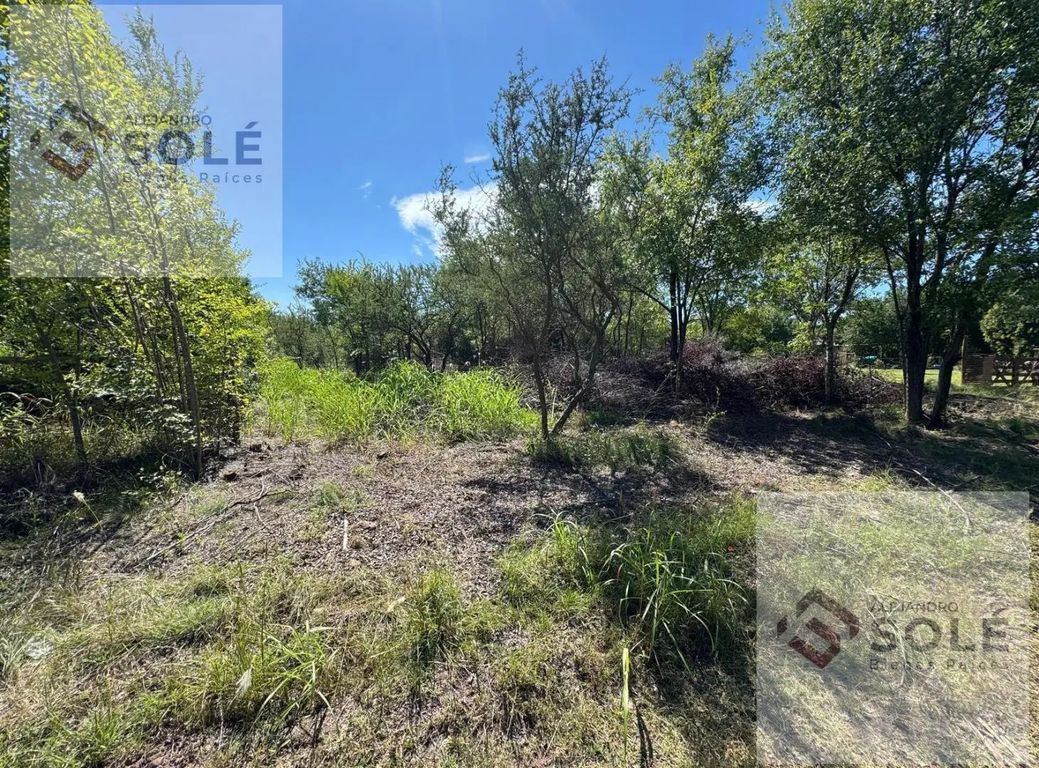 Terrenos  En El  ¨Valle De Calamuchita ¨   Entrega 50 % y Financia el Saldo 4