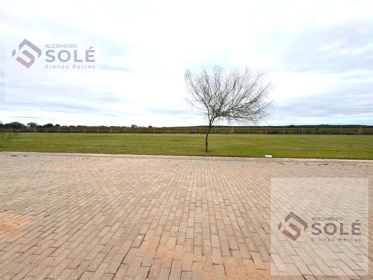 Foto de Terreno En Venta en Acquavista 350m2 - Cerca De La Laguna, imagen 1