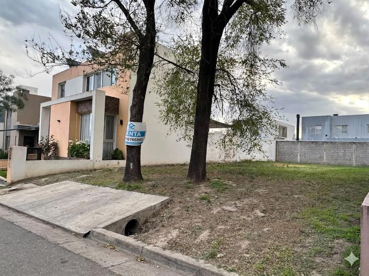 Foto de TERRENO EN VENTA MANANTIALES MIRADORES 1, imagen 4
