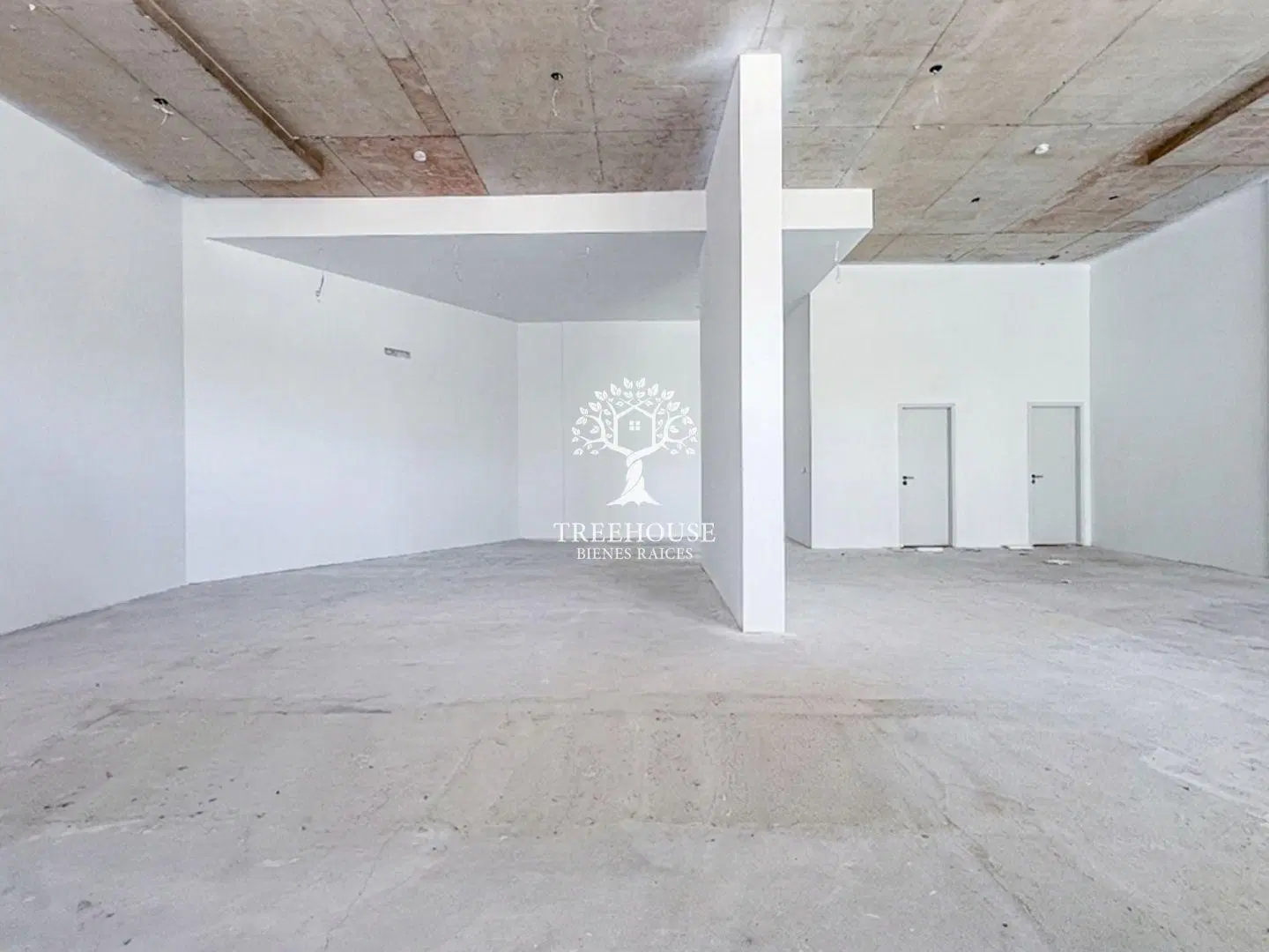 Alquiler Local Comercial en La Blanqueada 3