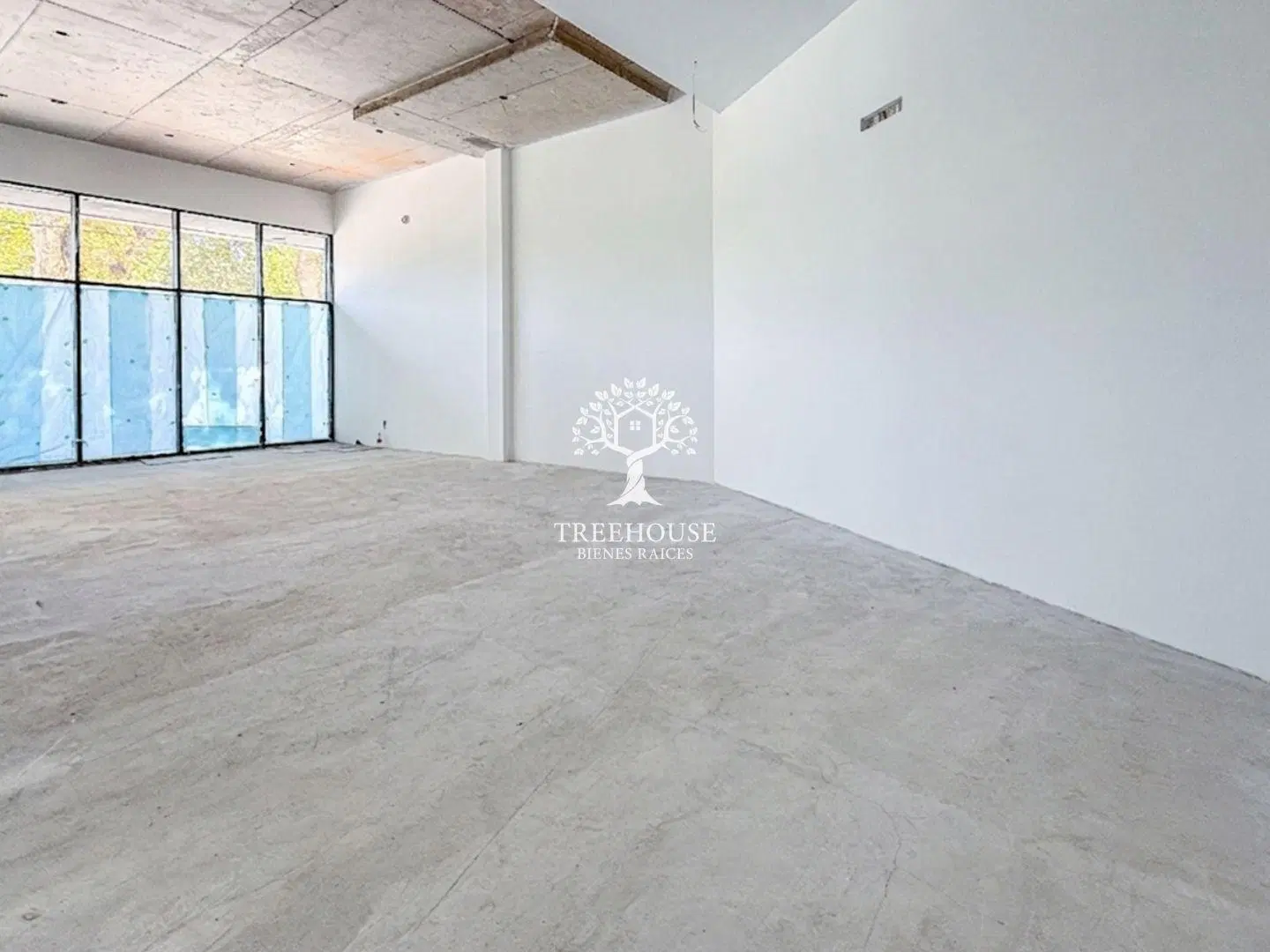 Alquiler Local Comercial en La Blanqueada 5