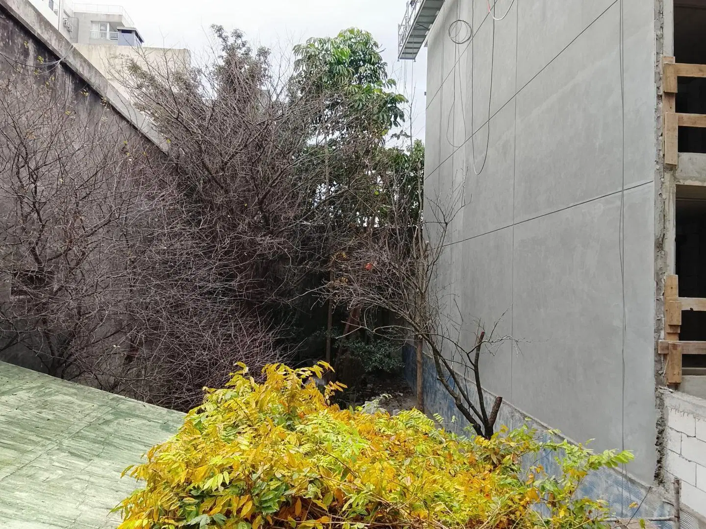 TreeHouse Bienes Raices Vende Casa o Gran Terreno para Desarrollo en Punta Carre 1