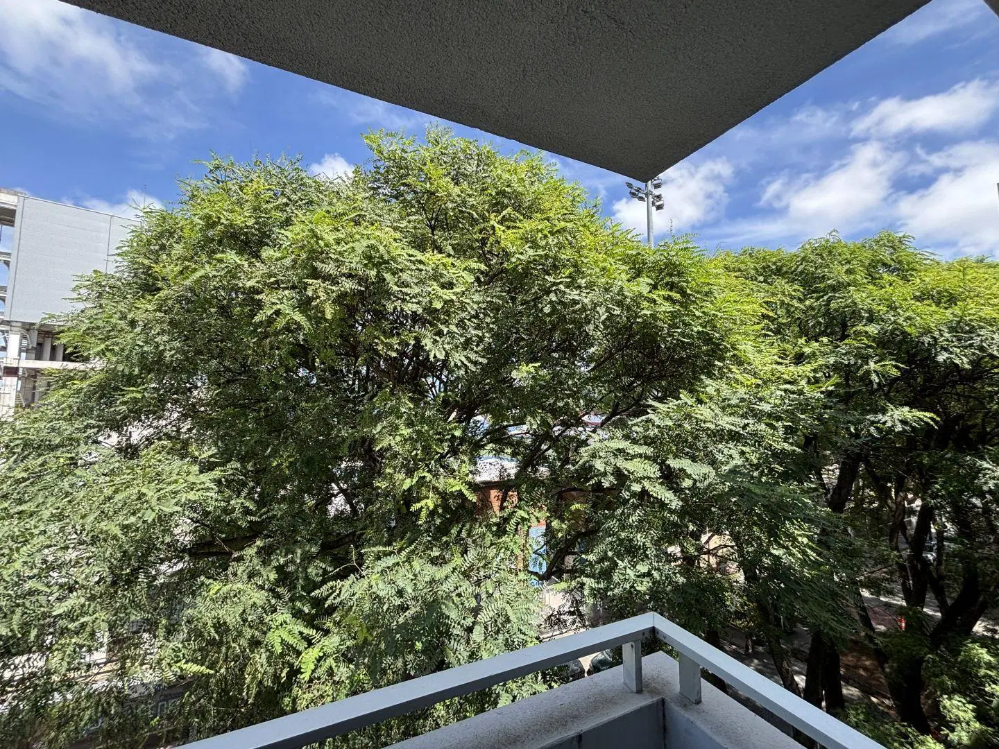 Alquiler apartamento 1 dormitorio La Blanqueada 3