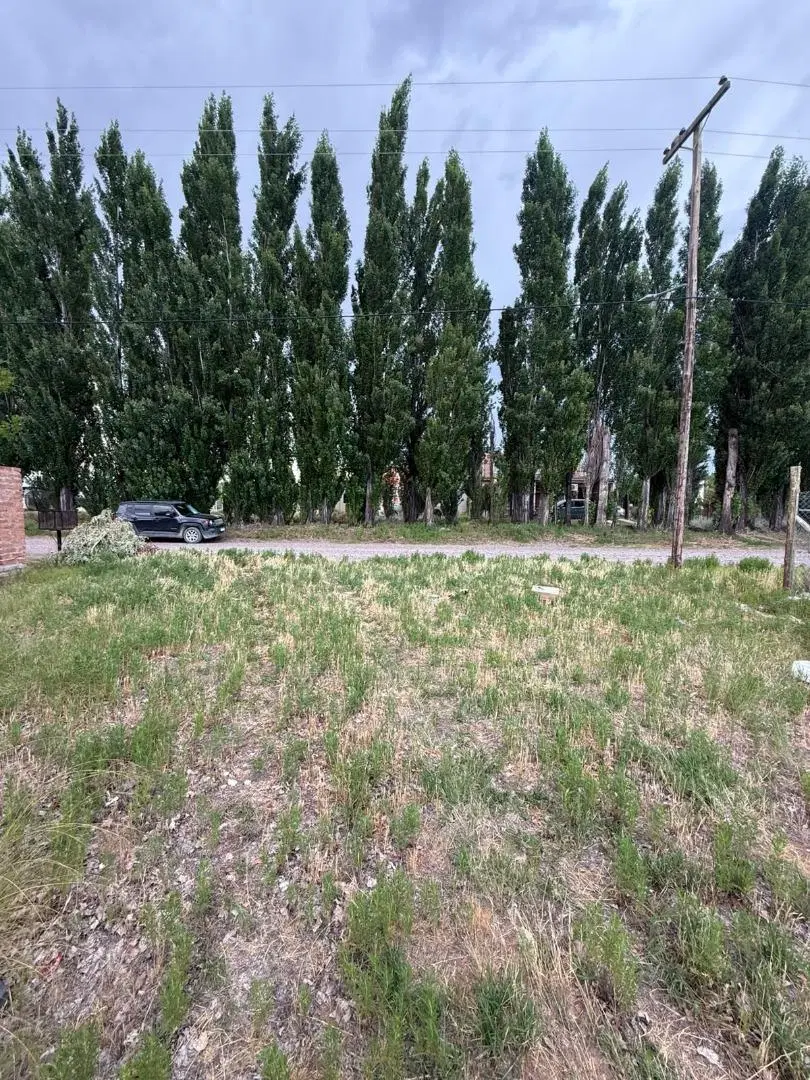 VENTA TERRENO BARRIO LAS LILAS, PLOTTIER, NEUQUÉN 3