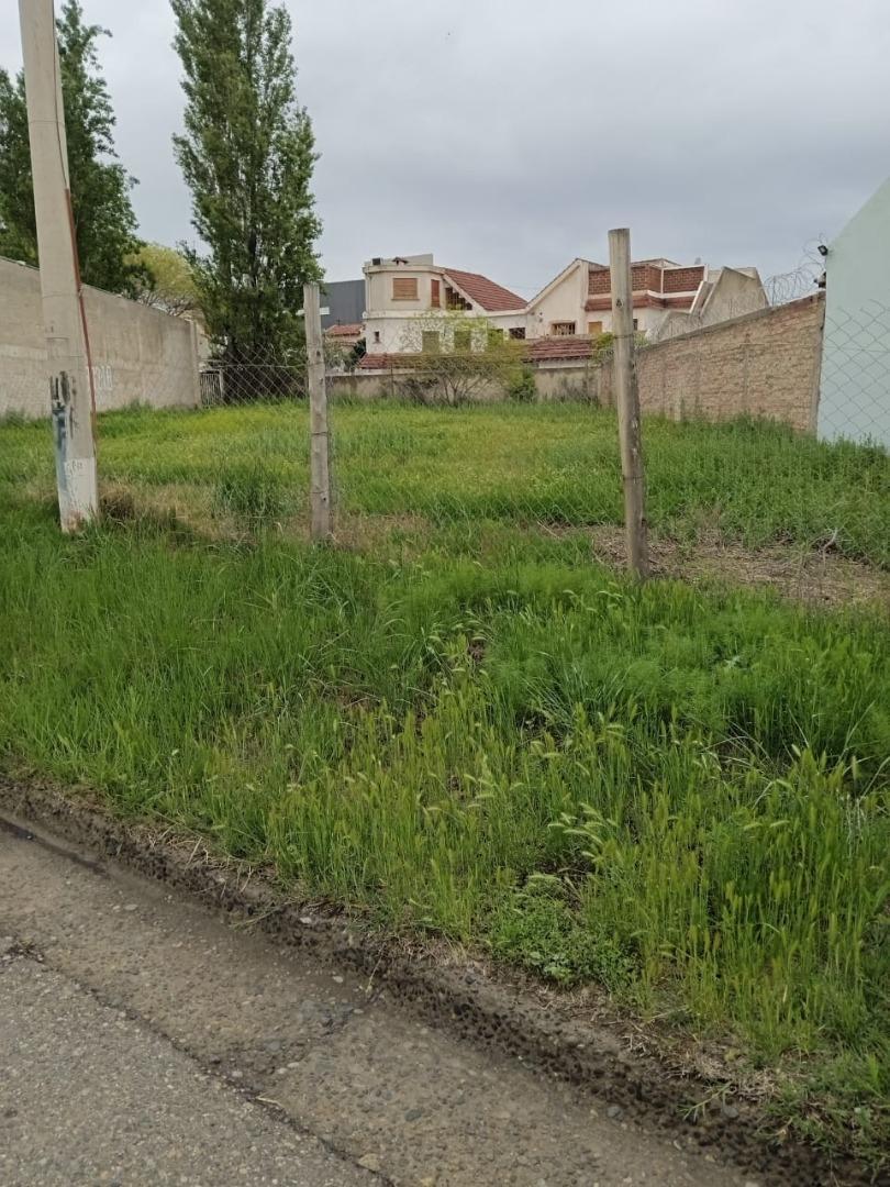 Foto de VENTA LOTE, BARRIO BELGRANO, CIPOLLETTI, RIO NEGRO, imagen 5