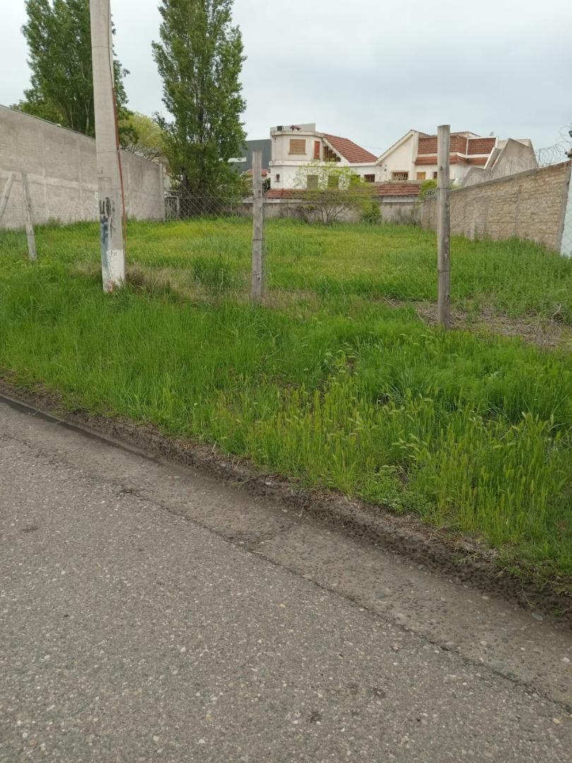 Foto de VENTA LOTE, BARRIO BELGRANO, CIPOLLETTI, RIO NEGRO, imagen 1