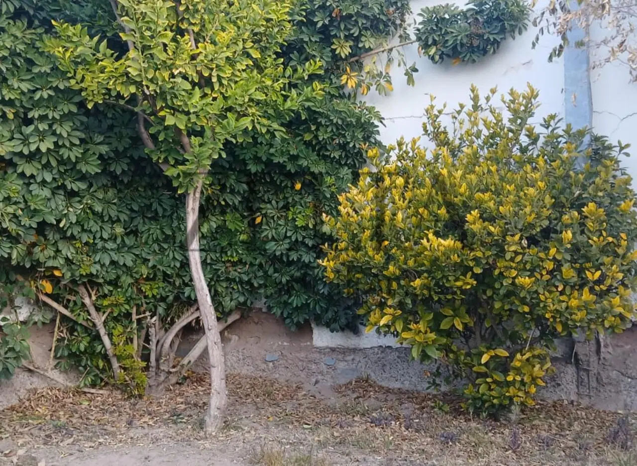 Vendo Casa en San José, Guaymallén 5