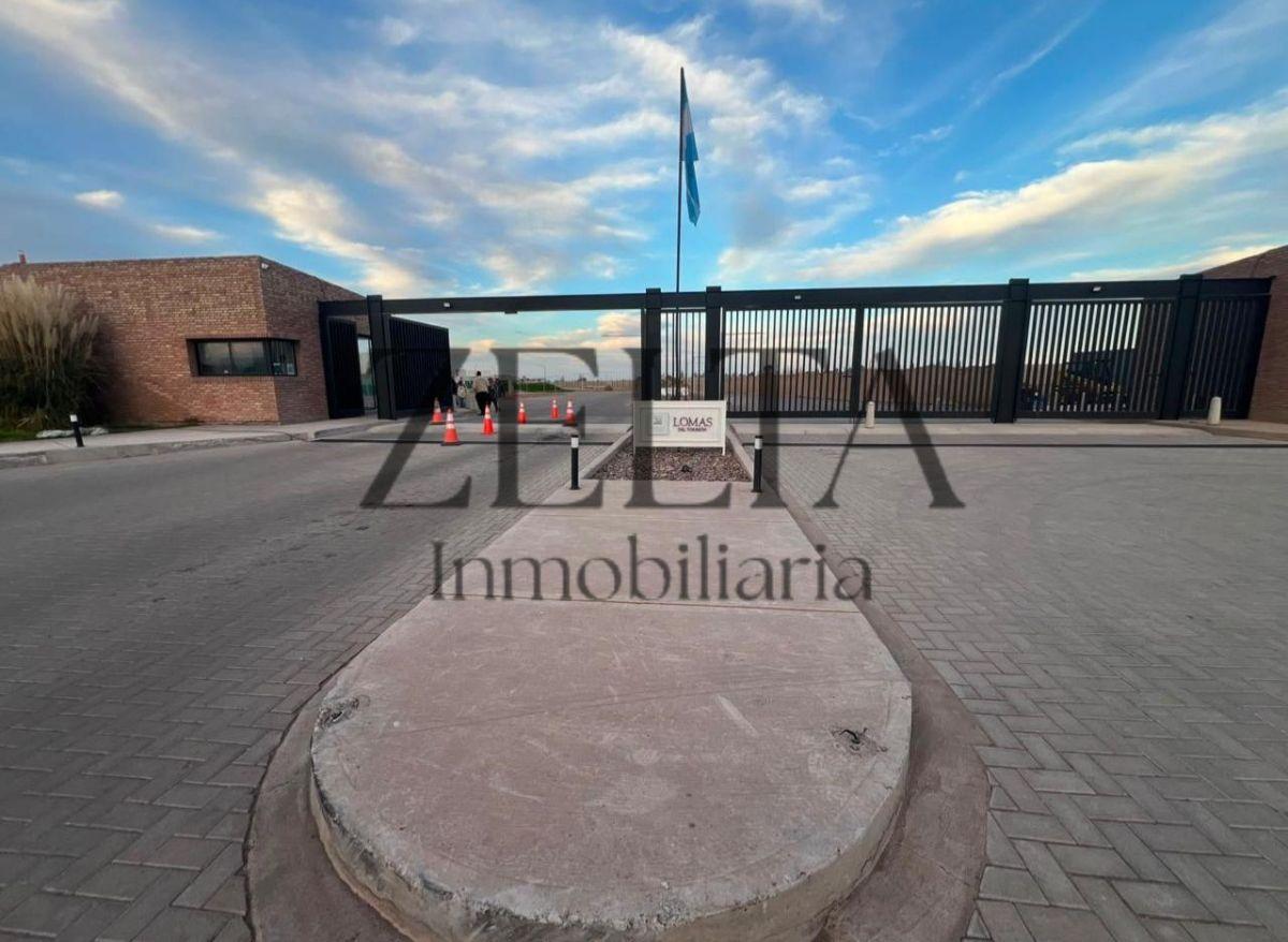 Foto de la propiedad en Barrio Lomas del Torreón 0, Maipú, Mendoza