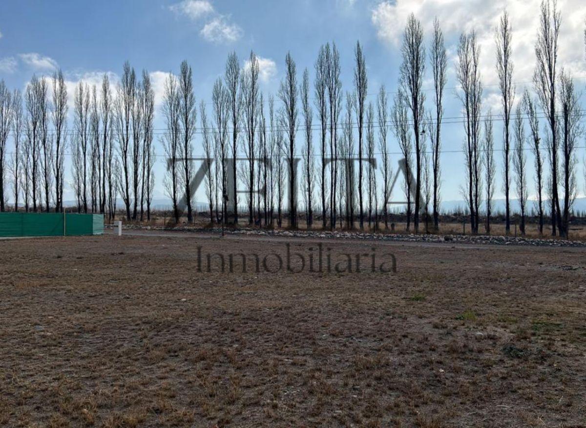 Foto de Vendo Lote en Barrio Entrevides, Tupungato, imagen 2