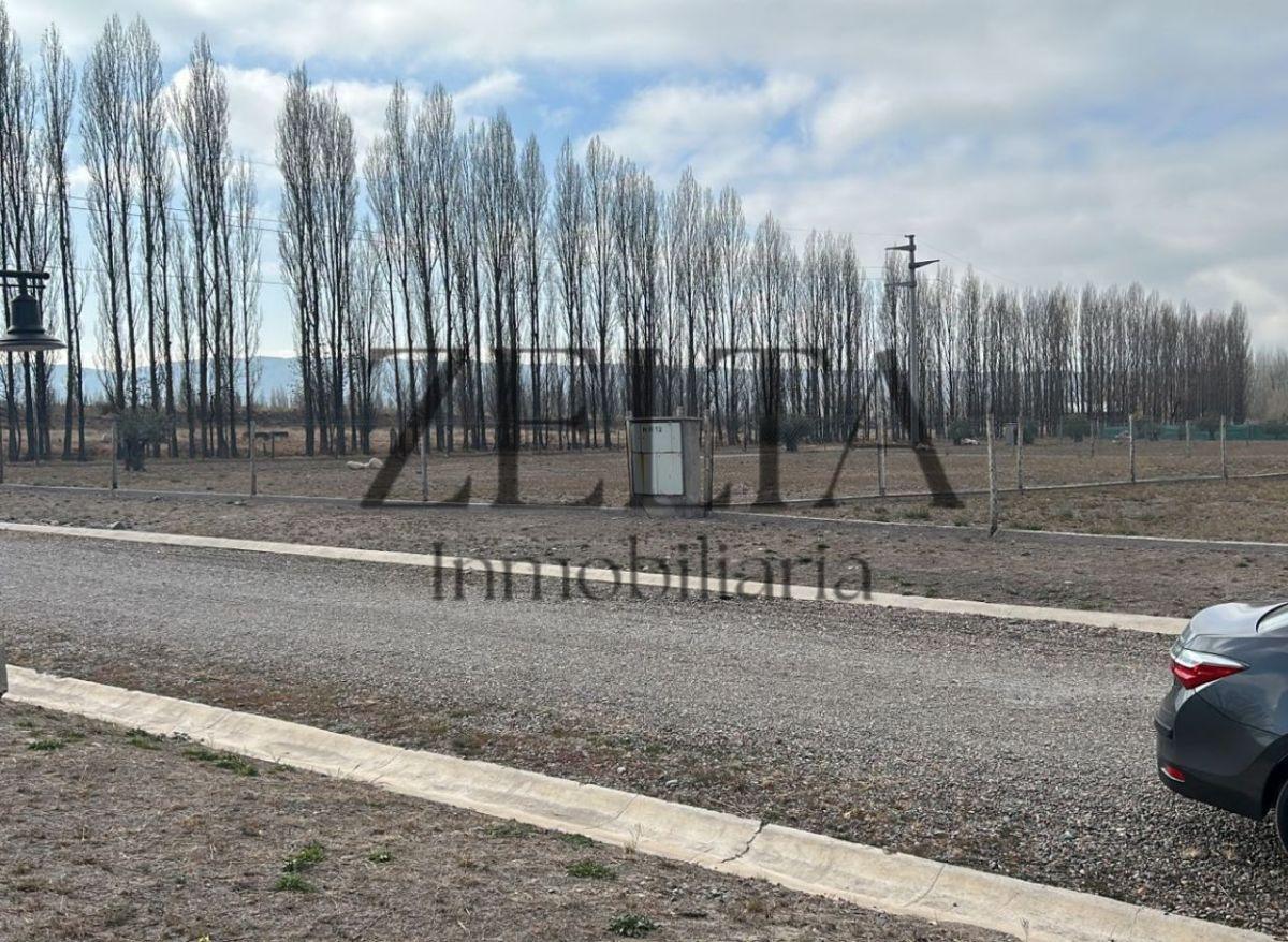 Vendo Lote en Barrio Entrevides, Tupungato