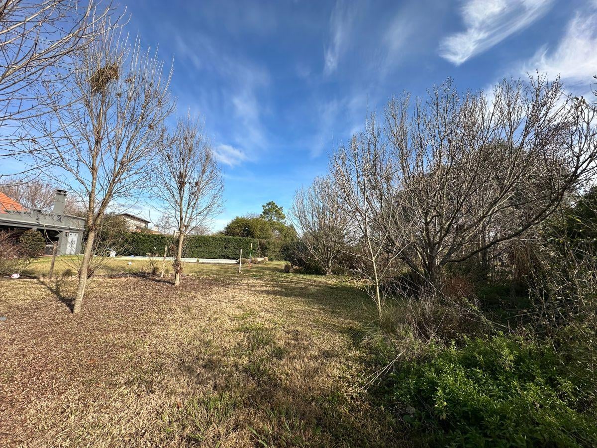Foto de Terreno de 1020 m² en venta en San Francisco, imagen 3