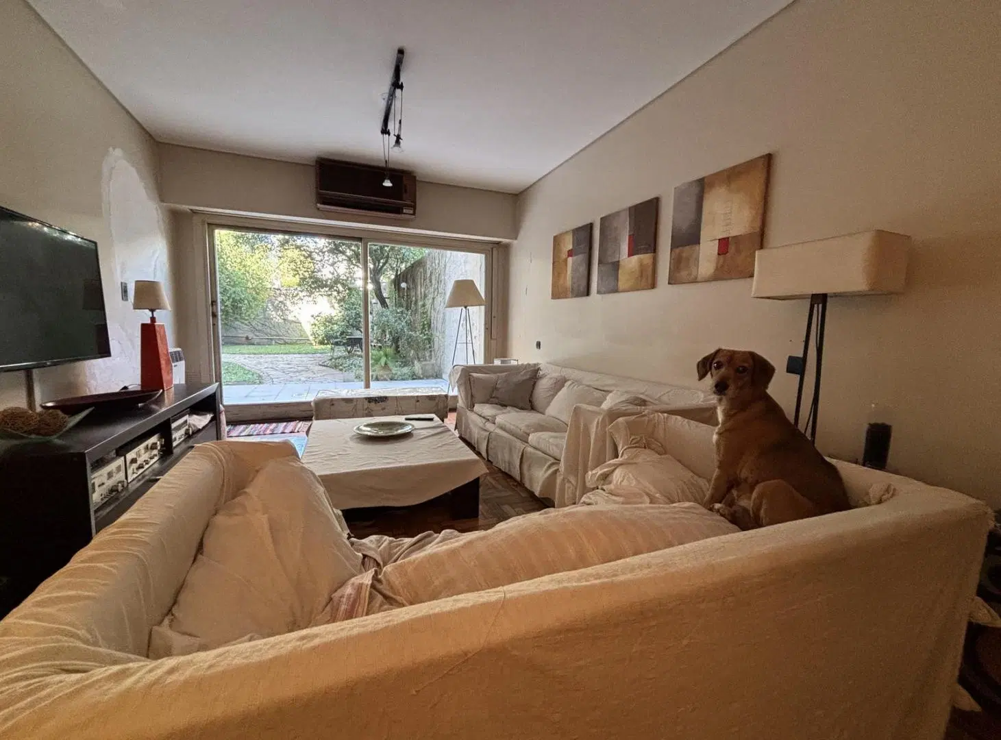 Venta Departamento 3 ambientes 243 m2 jardín y parrilla en Caballito 3