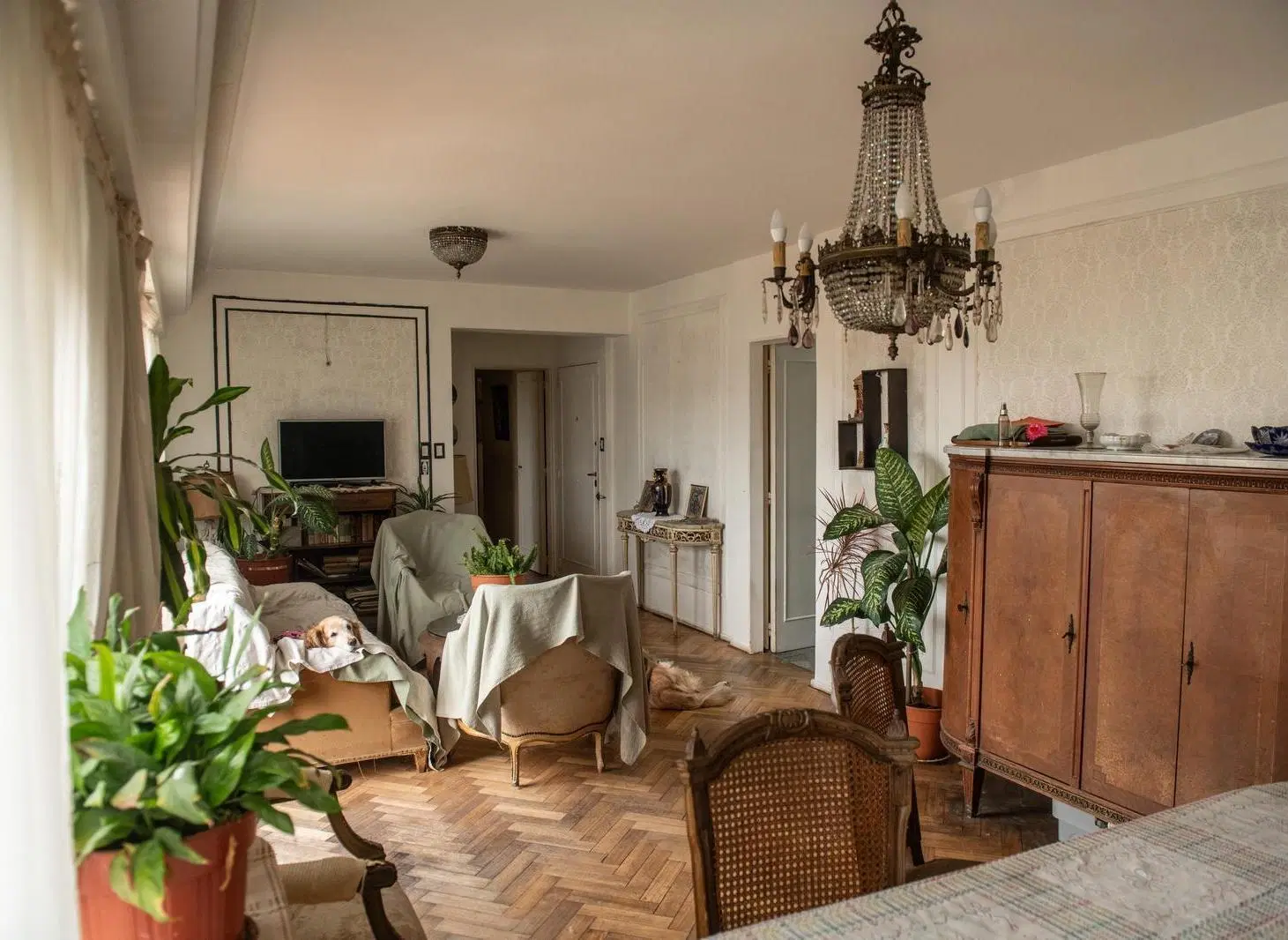 Venta Depto 4 ambientes 139 m2 balcón y dependencia en Balvanera 5