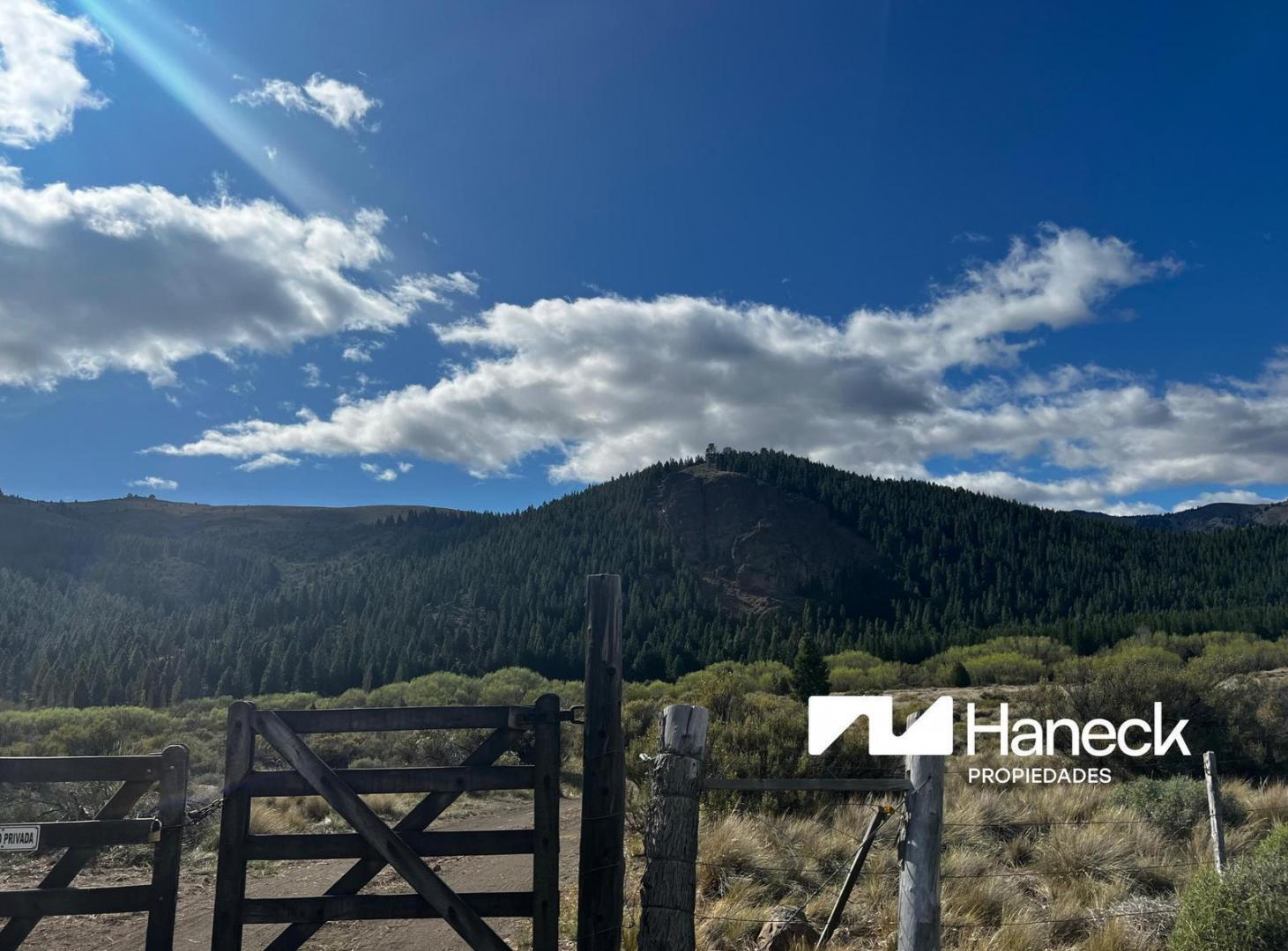 Venta 60 hectáreas con costa de rio Limay, Campo Pilcaniyeu
