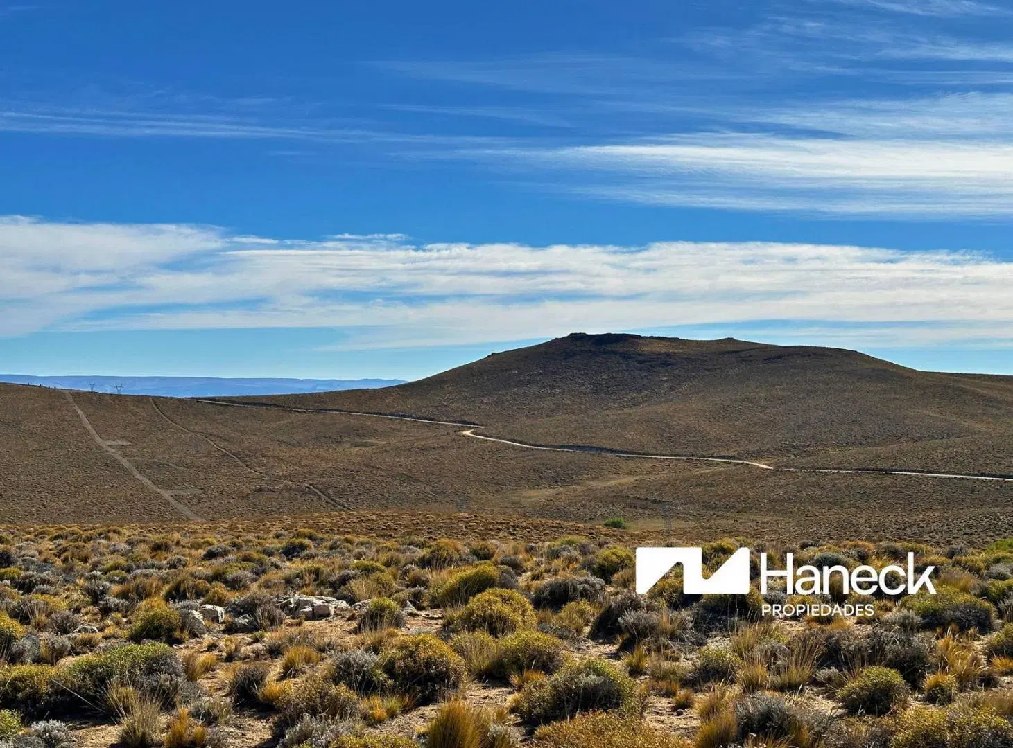 Campo en venta, 565 ha 5