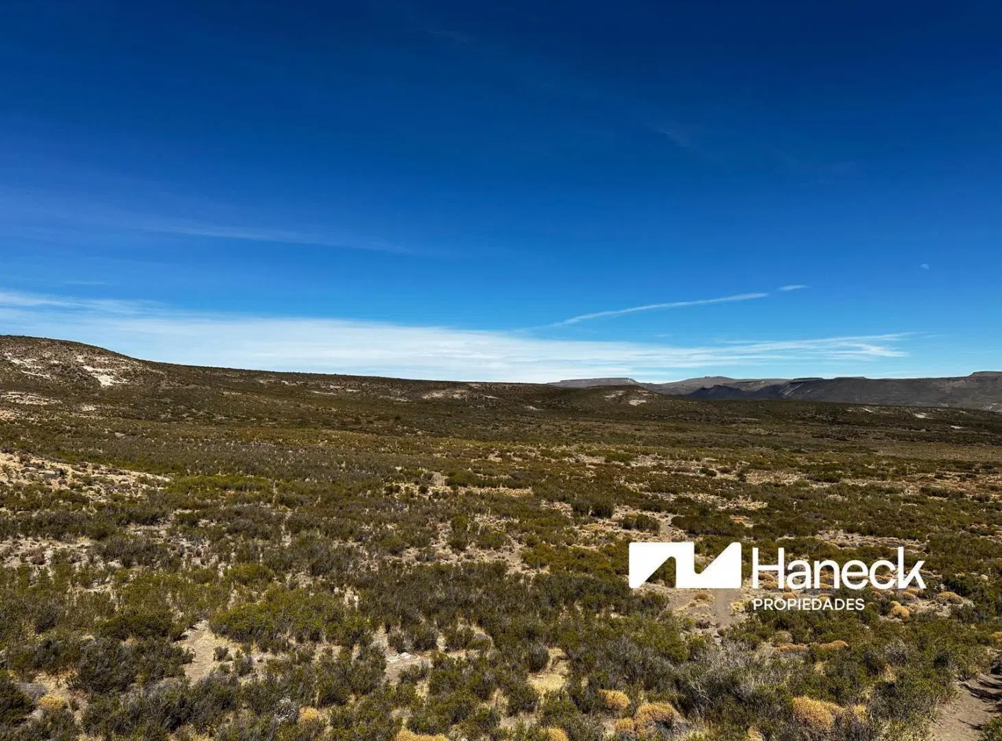 Campo en venta, 565 ha 4