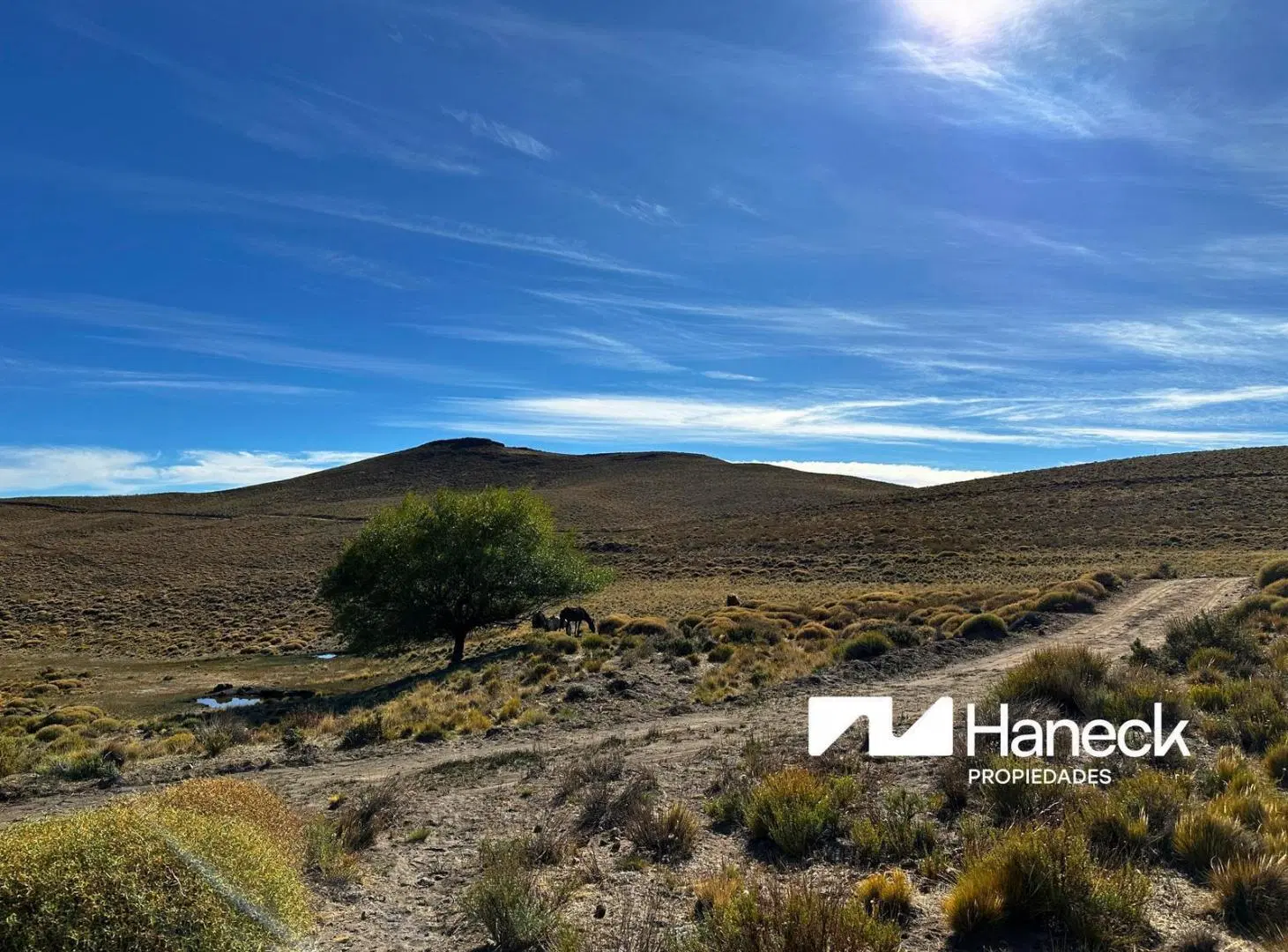 Campo en venta, 565 ha 2
