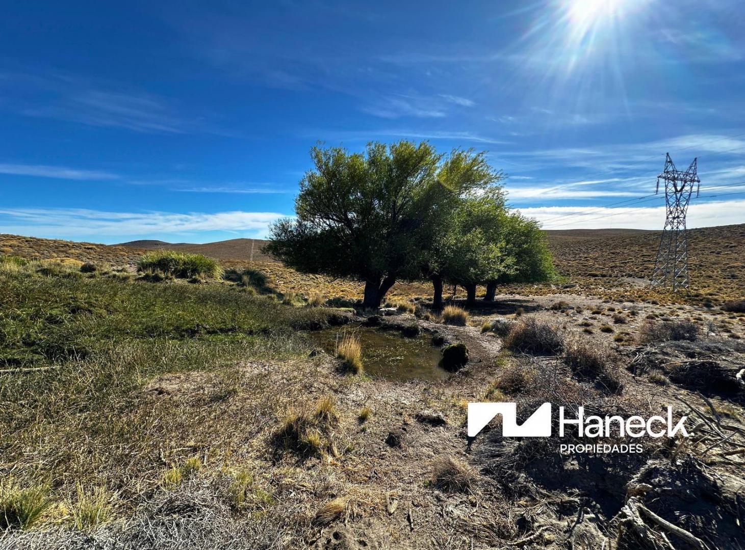 Campo en venta, 565 ha